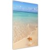 Vertikálny foto obraz akrylový Hviezdice na pláži 50x100 cm