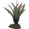 Lucky Reptile - Sukulenty: Tillandsia, cca 20 cm