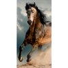 Faro osuška Kôň hnedý 70X140cm