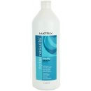 Matrix Total Results Amplify Shampoo 1000 ml