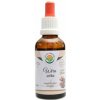 Salvia Paradise Muňa-Wira AF tinktúra 50 ml