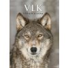 Vlk: Strážca lesa - K. Fuller Todd