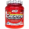 Amix Creatine monohydrate 300 g