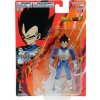 Dragon Ball SUPER EVOLVE VEGETA