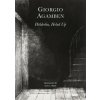 Hoelderlin's Madness - Chronicle of a Dwelling Life, 1806-1843 (Giorgio Agamben,Alta L. Price)(Pevná)