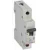 Legrand ISTIČ RX3 1P C25 6000A