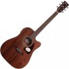 Ibanez AW54CE-OPN Open Pore Natural Elektroakustická gitara Dreadnought