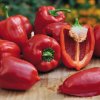 Paprika Almira Midi Red F1 - Capsicum annuum - predaj semien - 5 ks