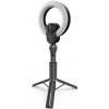 Lorgar Circulus 910 pre Streaming
