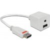 Delock AV adaptér DisplayPort - DisplayPort bílý (61751)