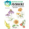 Paint 50: Watercolour Flowers: From Basic Shapes to Amazing Paintings in Super-Easy Steps (Brown,Penny)(Brožovaná)