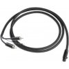 Pro-Ject Connect It Phono S 2RCA - mini XLR