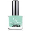 Golden Rose Rich Color 65 lak na nechty 10,5 ml
