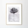 Moikka Plagát Flower no. 4 by Ana Frois 21x29,7 (A4)