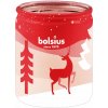 Parafínová vonná sviečka Brusnica Bolsius 1 ks