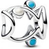 Pandora 793819C01