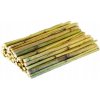 Ham-Stake Topinamburové stonky 100 g
