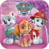 Papierový tanier Paw Patrol štvorcové 18x18cm Amscan