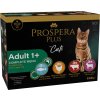 Prospera cat kapsička Adult 12 x 85 g