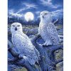 Diamantový obraz Snežné sovy