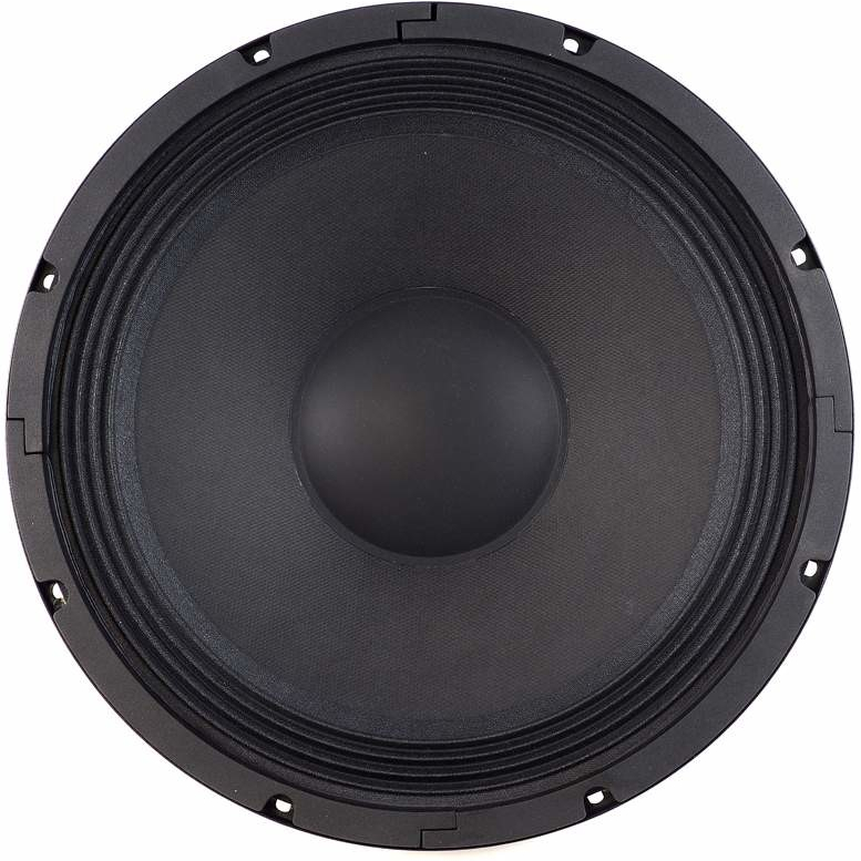 JBL Selenium 12PW3-SLF