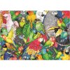 EDUCA Puzzle Papagáje 500 dielikov
