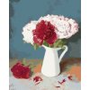 Zuty – Maľovanie Podľa Čísel – Červené A Biele Pivonky Vo Váze, 40 × 50 cm, Plátno 8596530082965