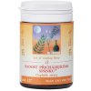 RADOSŤ PRICHÁDZAJÚCEHO SPÁNKU - SUAN ZAO REN WAN - TCM Herbs Objem: 100 tabliet / 30 g