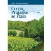 Co na Prajzske se stalo - Jana Schlossarková