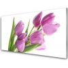 Sklenený obklad Do kuchyne Tulipány kvety rastlina 100x50 cm