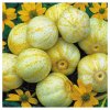 Bio uhorka Lemon - Cucumis sativus - predaj bio semien - 8 ks