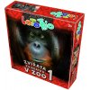 Zvieratá Betexa v ZOO 1