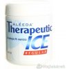 ALÉEDA Therapeutic ICE REGULAR, na fyzickú námahu, 220 ml