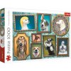 TREFL Puzzle Veselé psy 1000 dielikov