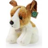 Rappa Plyšový Jack Russell Teriér sedící 26 cm ECO-FRIENDLY