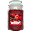 Parafínová vonná sviečka Apple Cinnamon (Jablko a Škorica) Airpure 1 ks