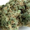 Seedsman Original Skunk #1 regular semena neobsahují THC 10 ks