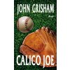 Calico Joe - John Grisham