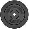 Spokey SINIS Litinový kotouč 29 mm 2,5 kg
