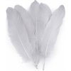Husacie perie dĺžka 12-21 cm - 20 ks 37 šedá