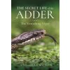 Secret Life of the Adder