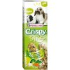 Versele Laga Tyčinky pre hlodavce CRISPY STICKS 2 ks - zelenina