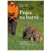 Práca na farbe - H.-J. Borngräber - kniha