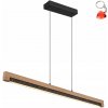 Závesná lampa Globo Lighting STARLA 1 – svetelné body, integrovaný LED zdroj