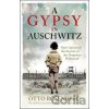 A Gypsy In Auschwitz - Otto Rosenberg