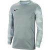 Nike Dry Park IV JSY LS GK JR CJ6072 052