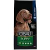 Cibau dog Puppy maxi 3 x 12 kg