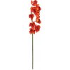 Orchidej větvička, červená, 90 cm