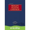 Principy válečné chirurgie - Leo Klein, Alexander Ferko a kol.