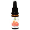 Salvia Paradise Grapefruit 100% esenciální olej 10 ml